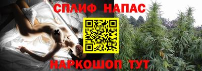 прущие грибы Дубна