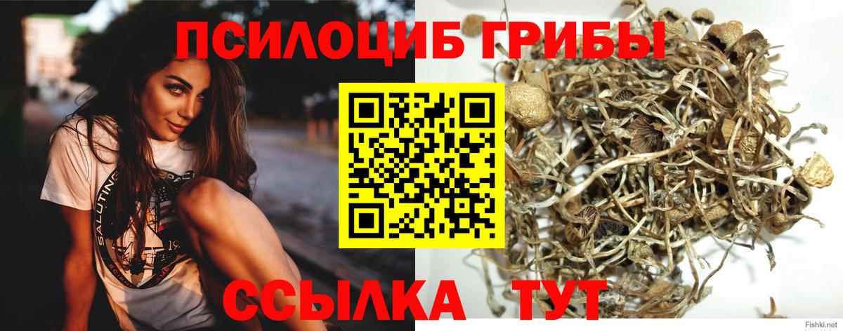 Нижнекамск  Галлюциногенные грибы ЛСД  Вход с VPN  где продают   Галлюциногенные грибы Psilocybine cubensis 